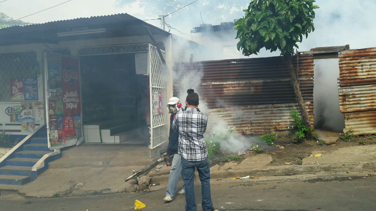 fumigar1